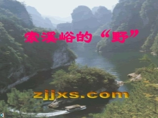 《索溪峪的“野”》ppt课件
