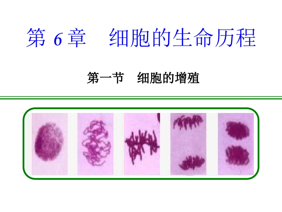 第一节细胞的分裂_第1页