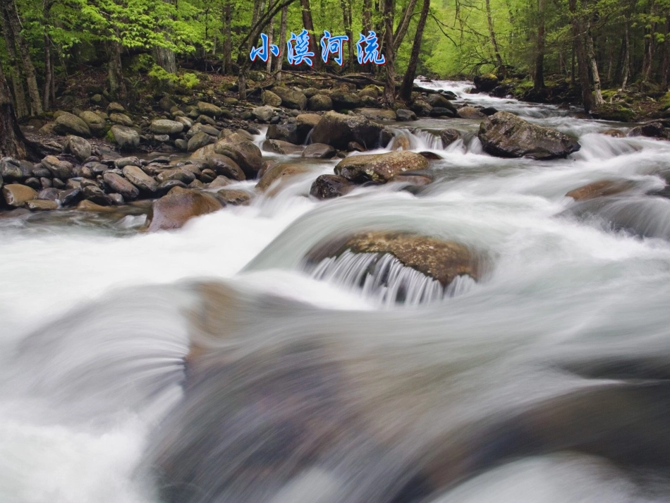 六年级语文上册这片土地是神圣的课件6人教新课标版_第3页