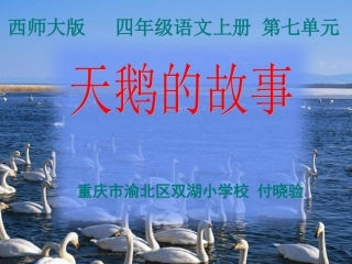 《天鹅的故事》修改后.