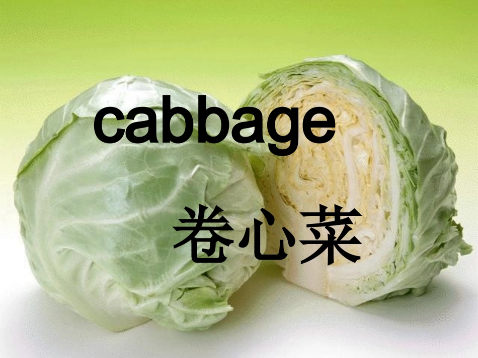 人教版(PEP)五年级英语上册Unit3实用PPT_第3页