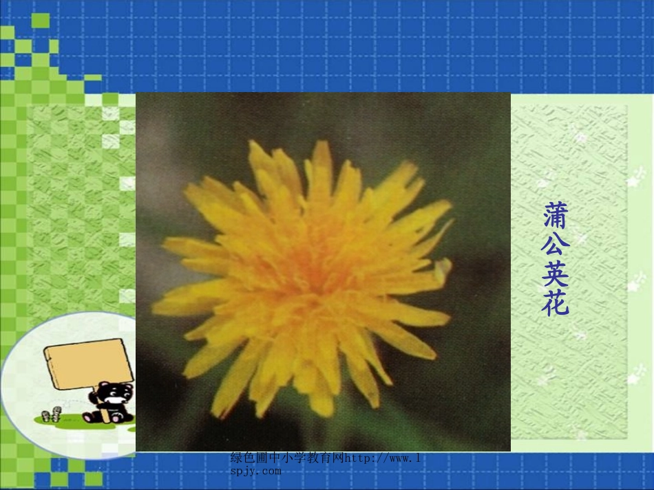 北师大版三年级语文上册《金色的草地》优秀课件_第3页