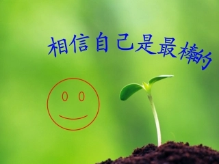 蒲公英的梦1