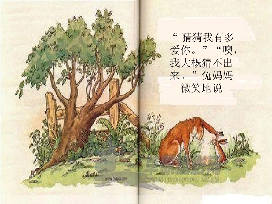 猜猜我有多爱你 (5)_第3页