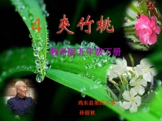 夹竹桃(课件)