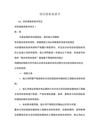 项目保密承诺书