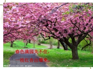往事依依课件同课异构18