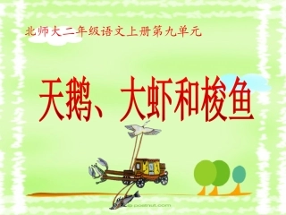 天鹅、大虾和梭鱼成品课件1