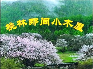 桃林那间小木屋