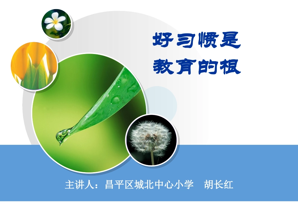 好习惯是教育的根_第1页