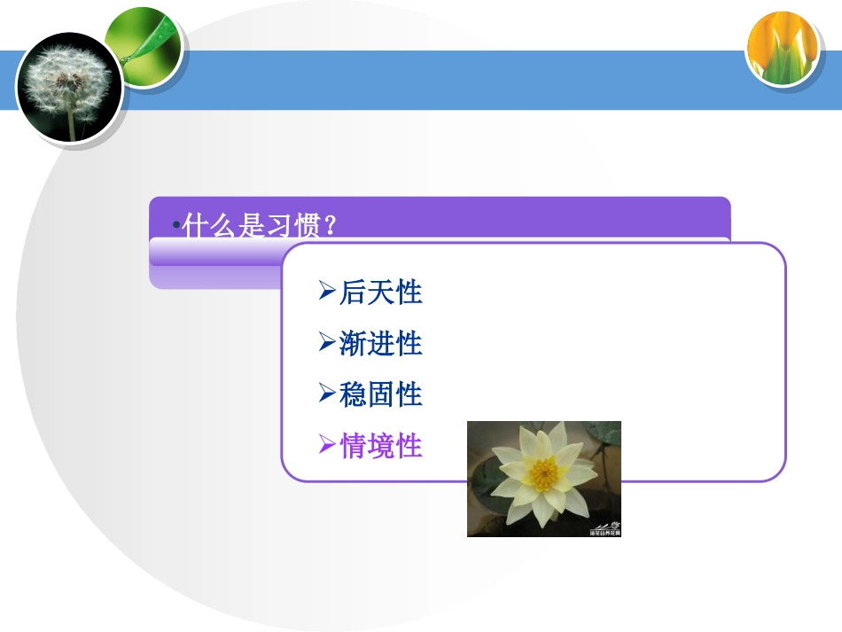 好习惯是教育的根_第2页