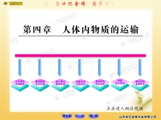 人体内物质的运输