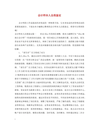 会计师本人自我鉴定 