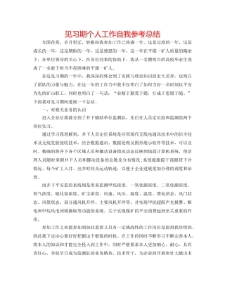 见习期个人工作自我参考总结 