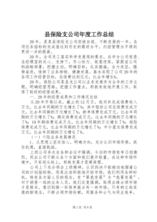 县保险支公司年度工作总结 