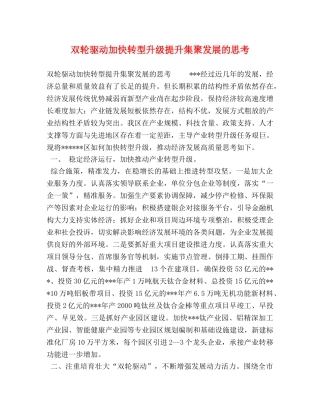 双轮驱动加快转型升级提升集聚发展的思考 