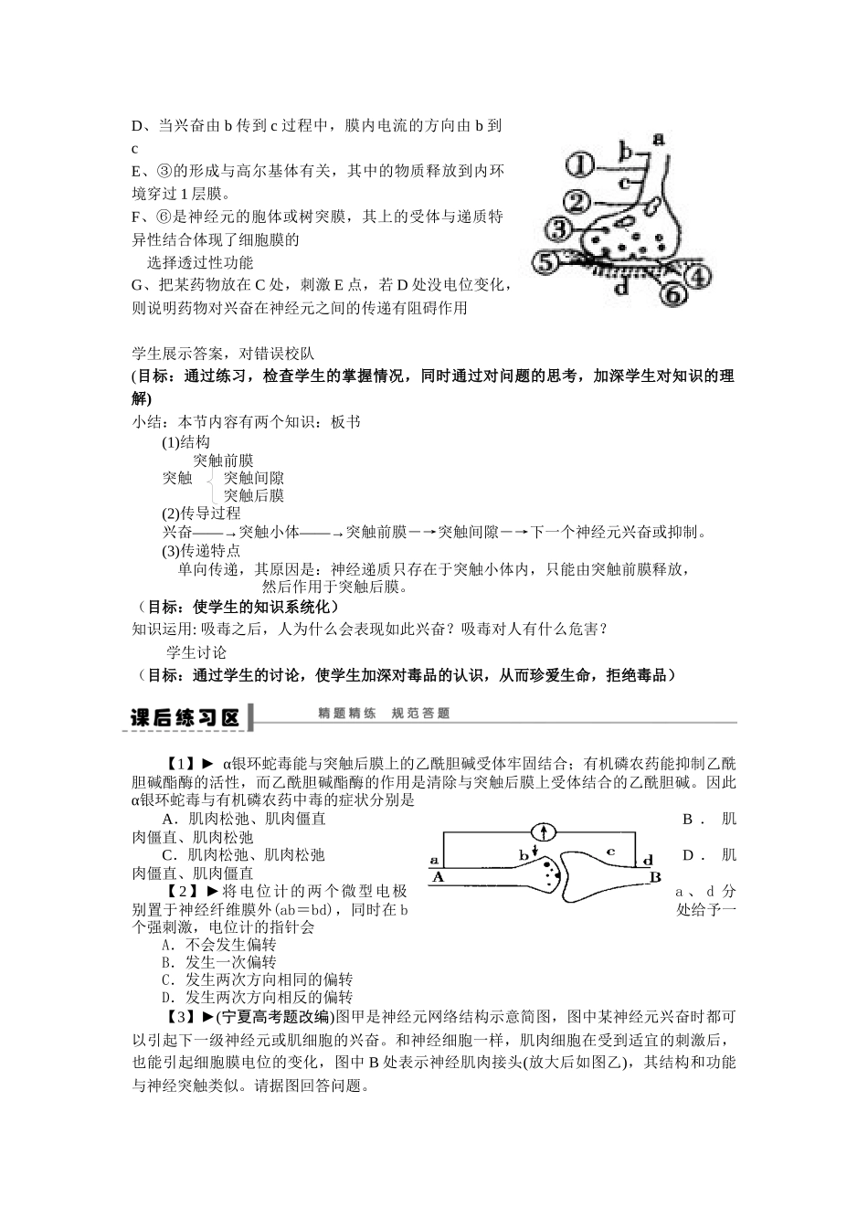 兴奋在神经元之间的传递（教案用）_第2页