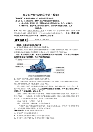 兴奋在神经元之间的传递（教案用）
