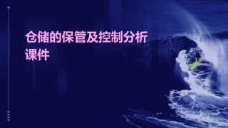 仓储的保管及控制分析课件