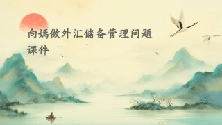 向嫣做外汇储备管理问题课件