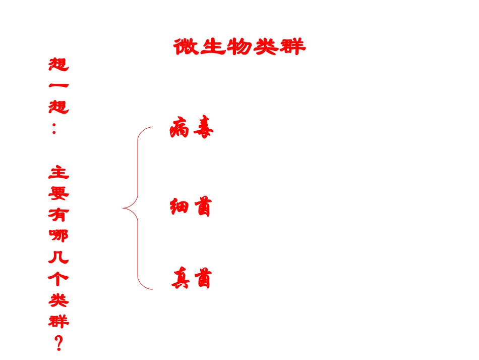 22-4微生物_第2页