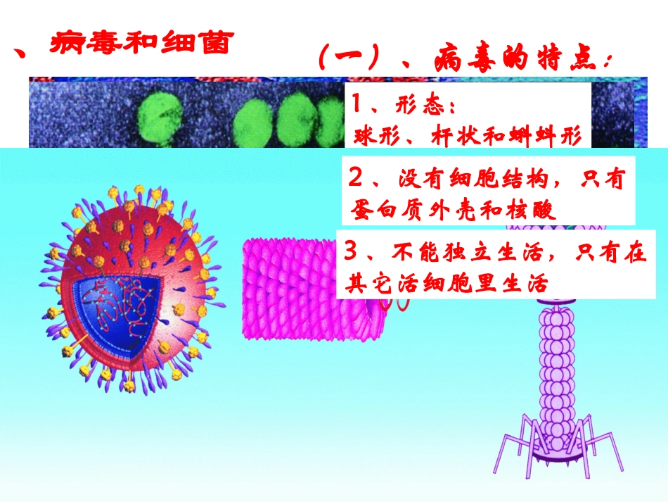 22-4微生物_第3页