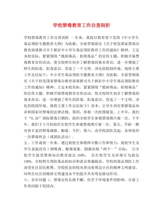 学校禁毒教育工作自查剖析 