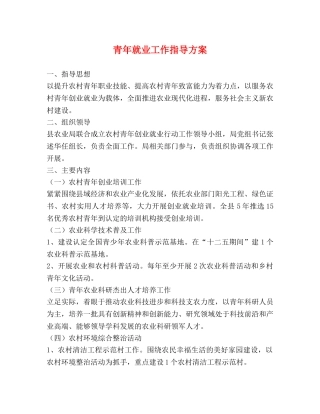 青年就业工作指导方案 
