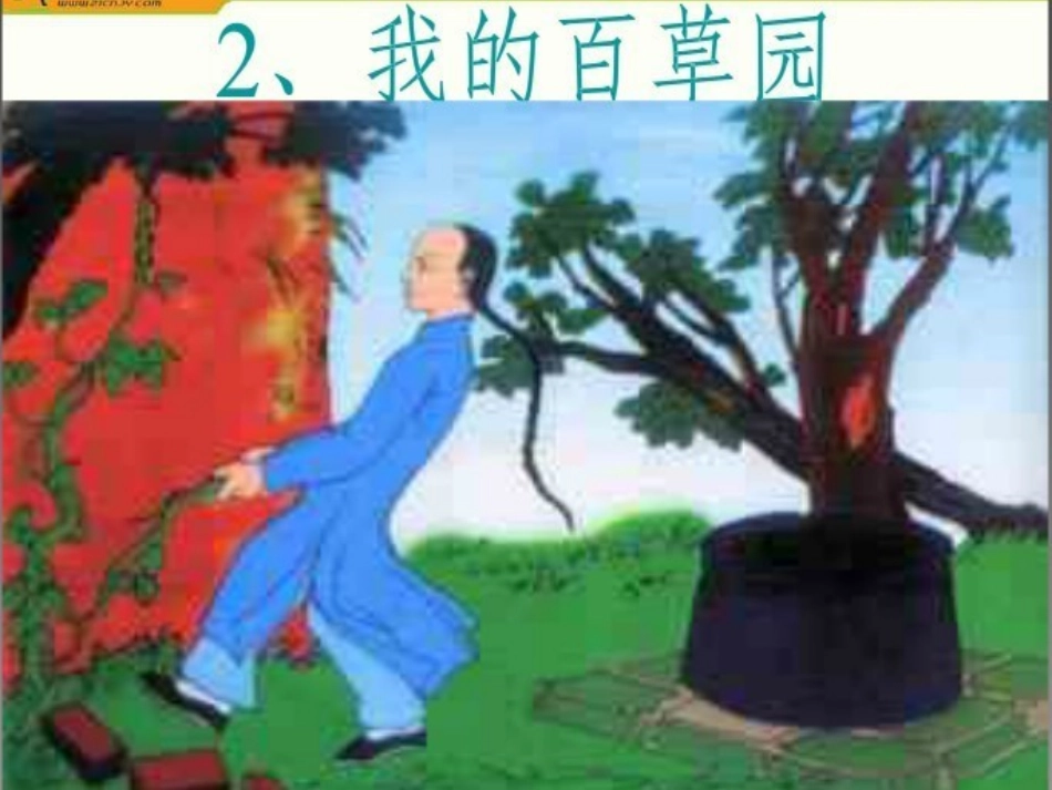 2.我的百草园_第1页