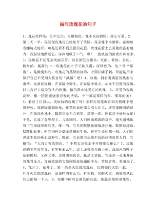 描写玫瑰花的句子 