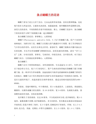 条点蝴蝶兰的花语 