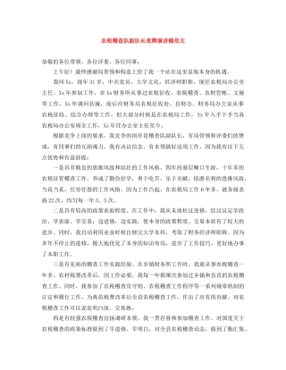 农税稽查队副队长竞聘演讲稿范文 