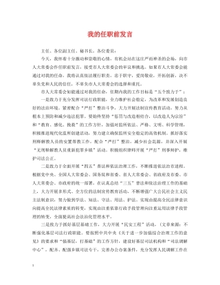 我的任职前发言 