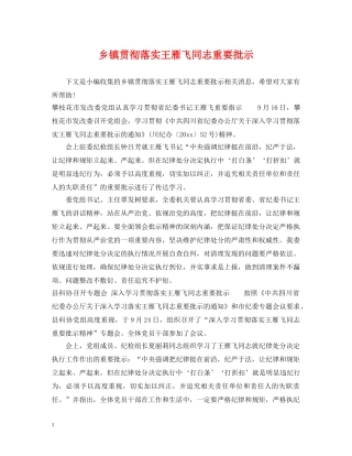 乡镇贯彻落实王雁飞同志重要批示