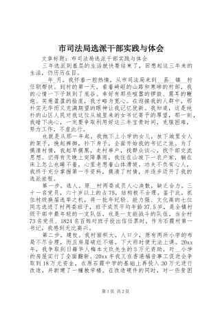 市司法局选派干部实践与体会