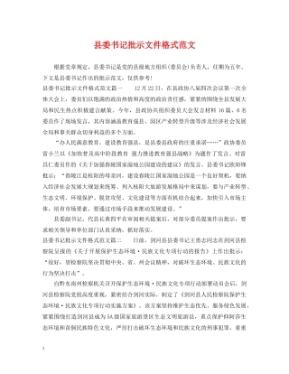 县委书记批示文件格式范文 