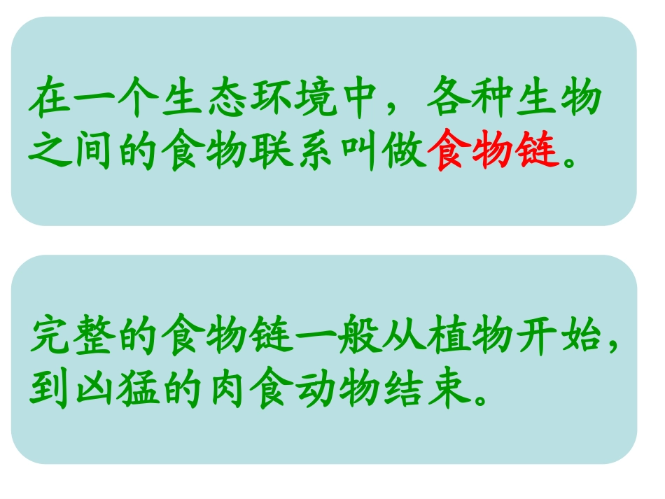 青岛版科学六年级上册《密切联系的生物界》课件_第3页