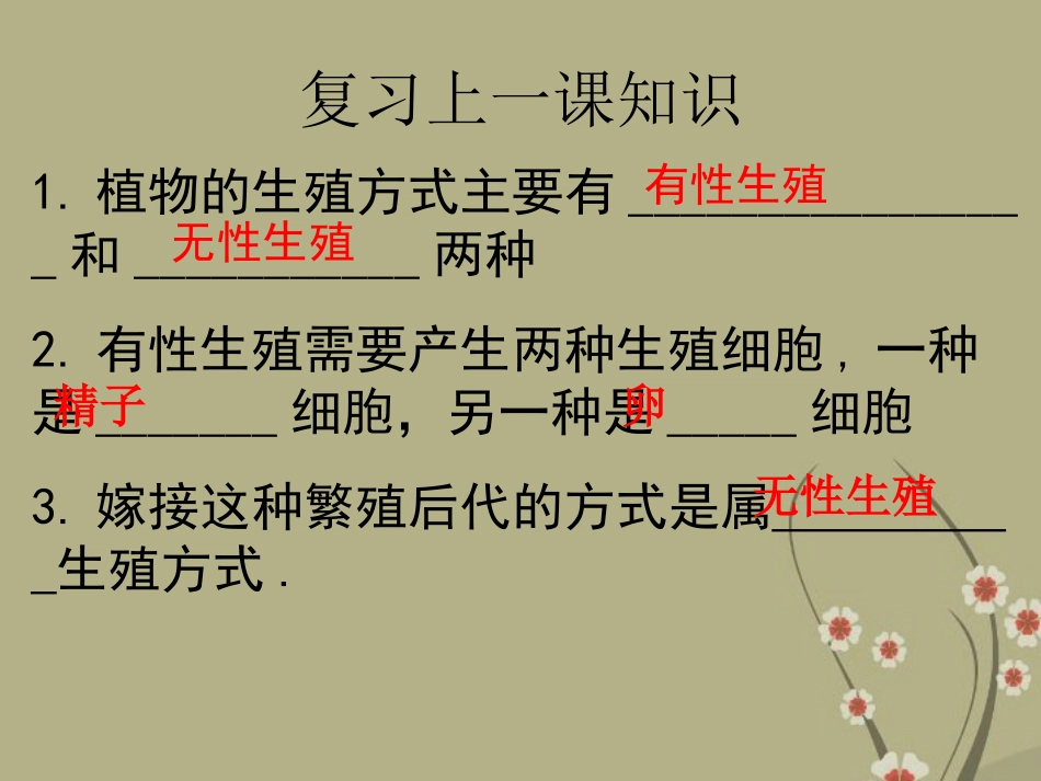 八年级生物下册-7.1.2《昆虫的生殖和发育》课件-新人教版_第1页