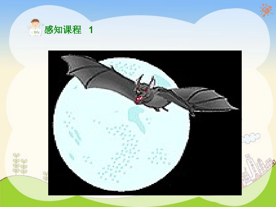 11蝙辐和雷达_第2页