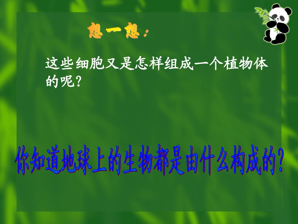 3、8、1植物体的组成_第2页