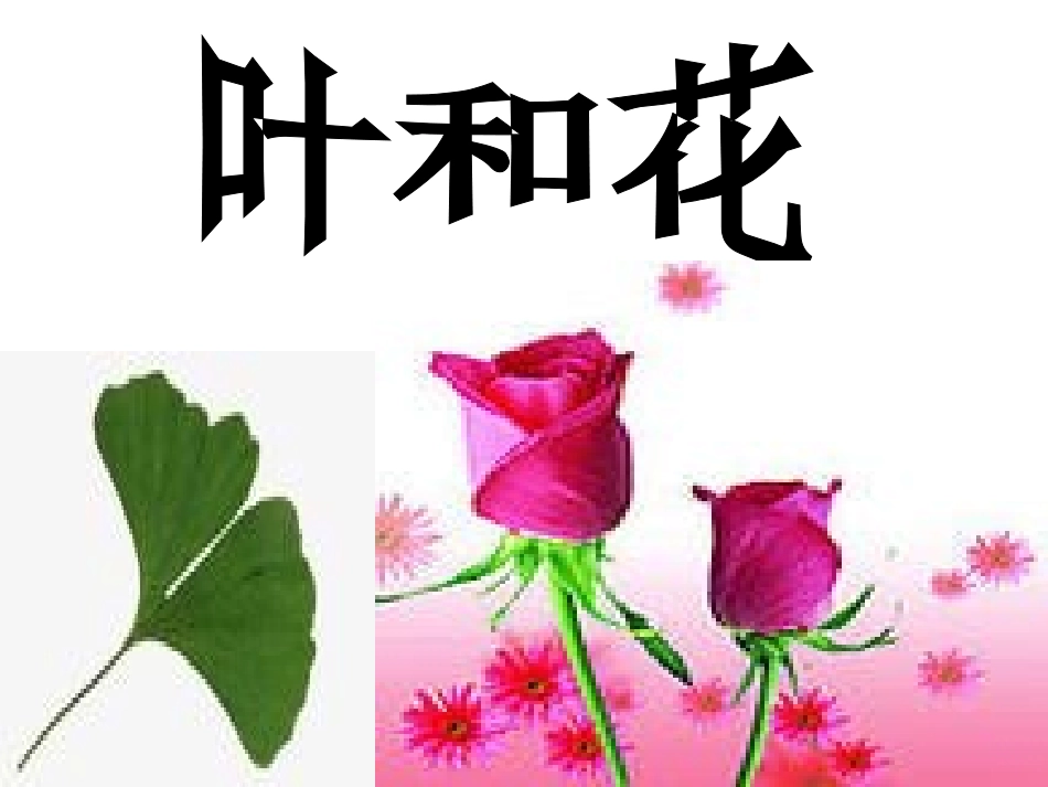 演示文稿三年级叶和花_第1页