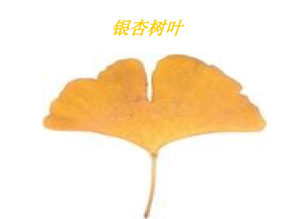 演示文稿三年级叶和花_第3页