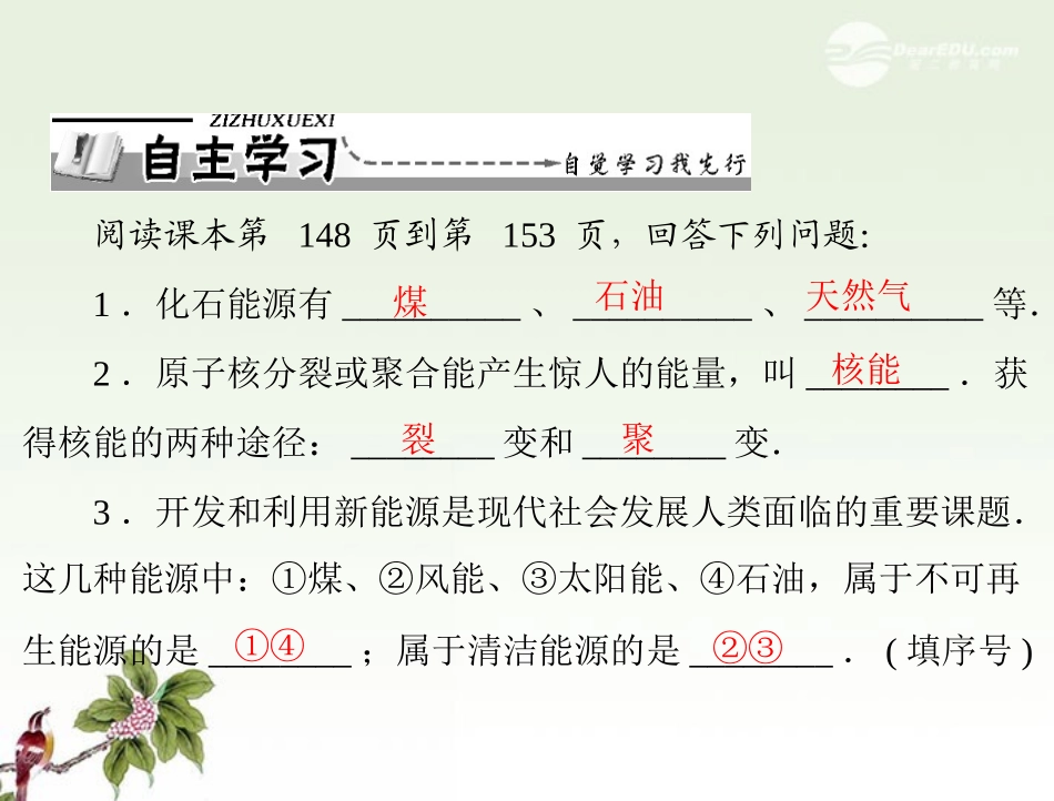 九年级物理-第十七章-能源与可持续发展-一、能源家族-二、核能课件-人教新课标版_第2页