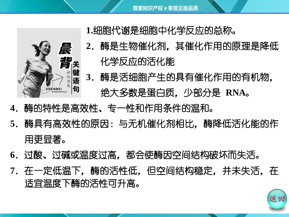 第1部分第5章第1节降低化学反应活化能的酶_第3页