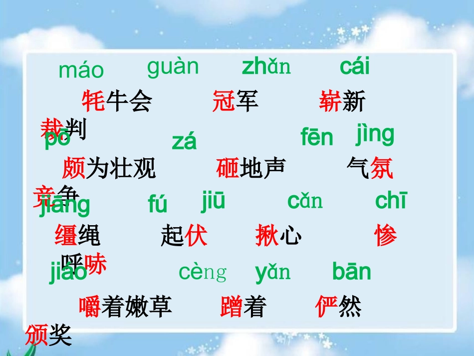 《雪顿节上看赛牛》课件(成明霞)_第3页