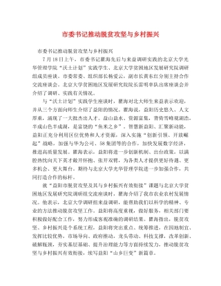 市委书记推动脱贫攻坚与乡村振兴 