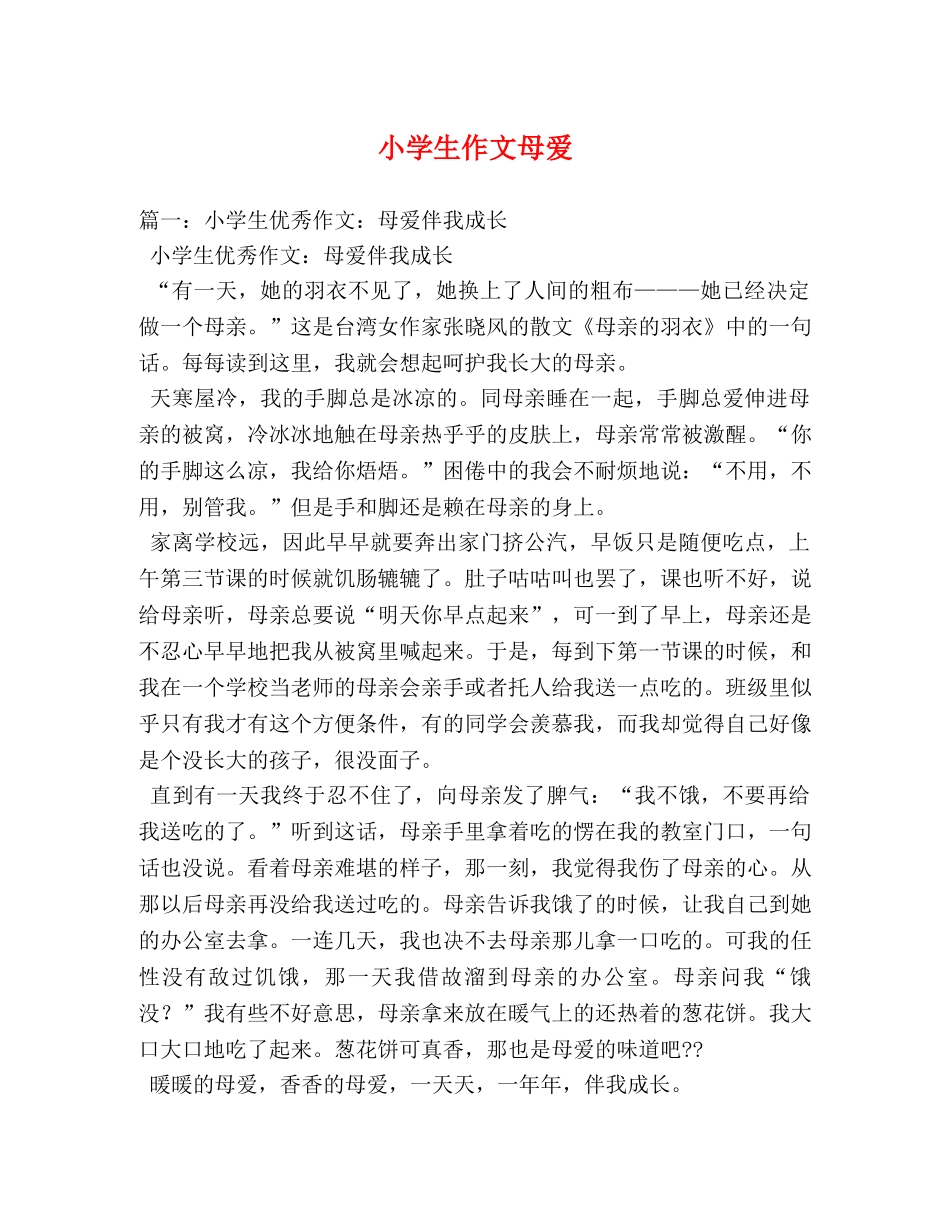 小学生作文母爱 _第1页