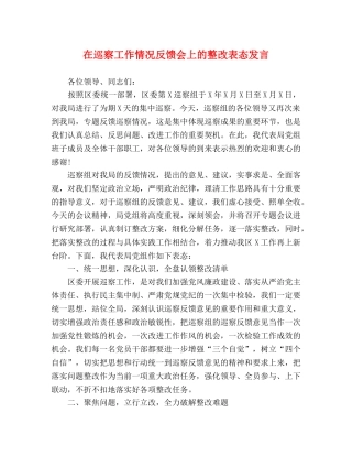 在巡察工作情况反馈会上的整改表态发言 