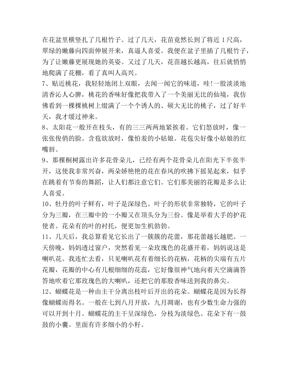 描写花的段落100字 _第2页