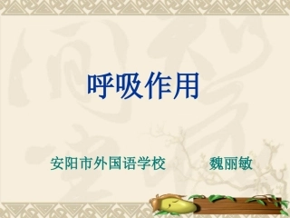 呼吸作用--定稿2.